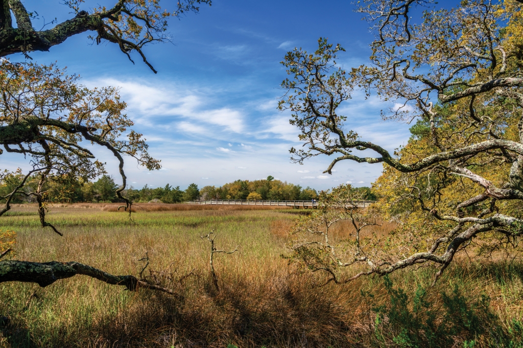 In 1791, George Washington stayed with Jeremiah Vereen’s family on their 400-acre plantation in Little River. That property today is the 115-acre Vereen Memorial Park.