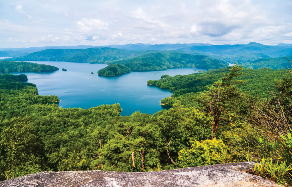 With the nation’s second highest rainfall totals, the Jocassee Gorges is rife with waterfalls and rare plants.