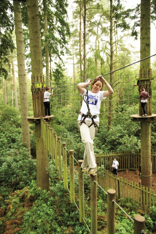 Treetop Adventures Myrtle Beach Sc Grand Strand Magazine